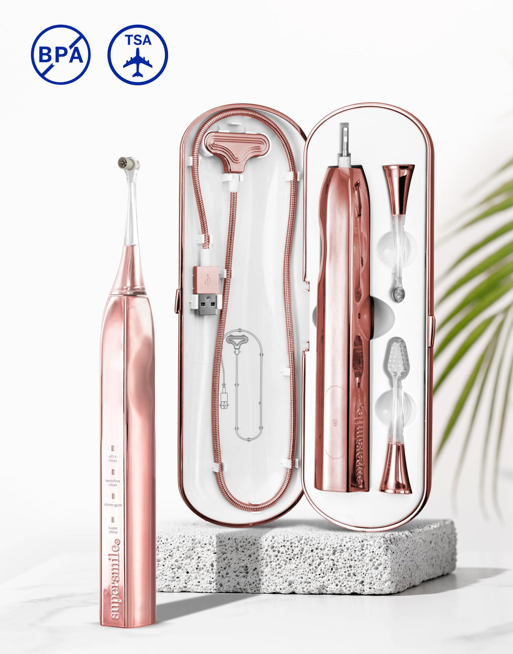 Rechargeable Sonic Toothbrush with Travel Cas